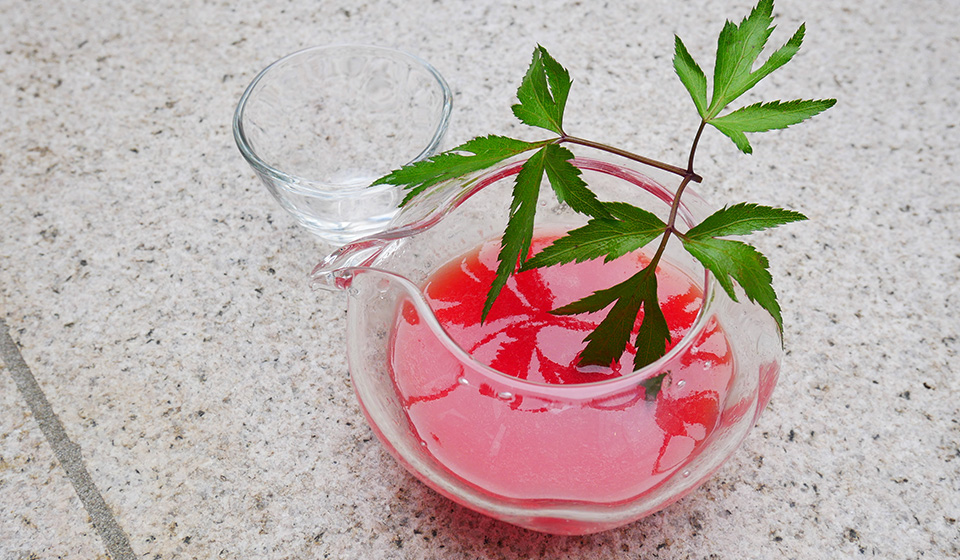 【きつね】コースメニューが新しく！