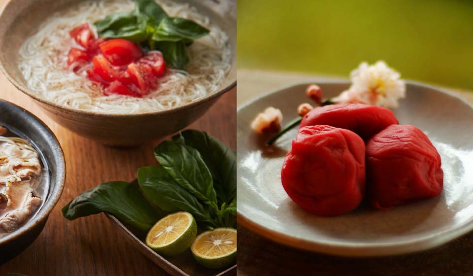 【中川政七商店 近鉄百貨店奈良店】 大和路めぐり#38 奈良そうめんと梅の贈り物